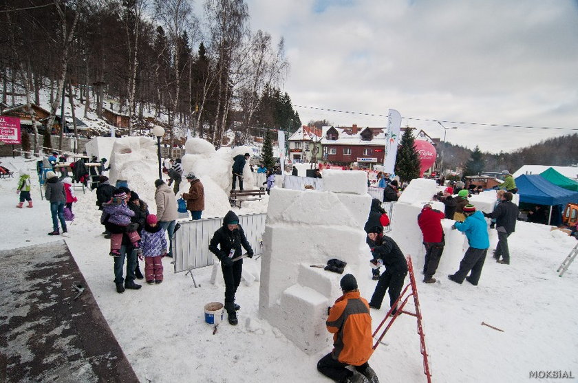 Śniegolepy w Szklarskiej Porębie