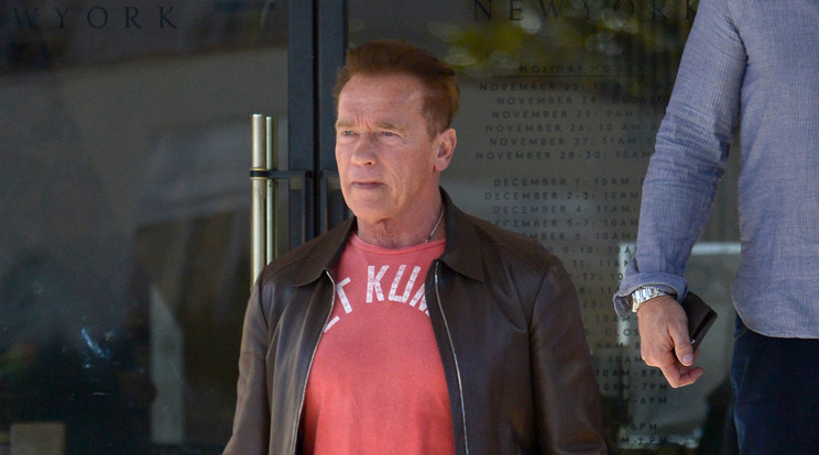 Arnold Schwarzenegger / Northfoto