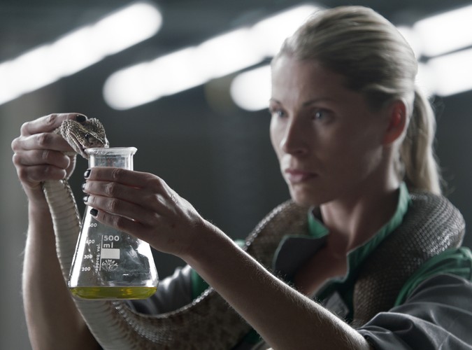 Najdziksza fabryka samochodów!