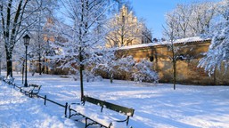 zima nie powiedziała ostatniego słowa. nawet 30 cm śniegu w prognozach. kiedy?