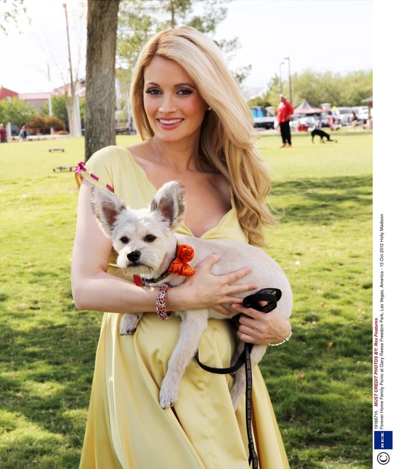 Holly Madison na pikniku/fot. East News