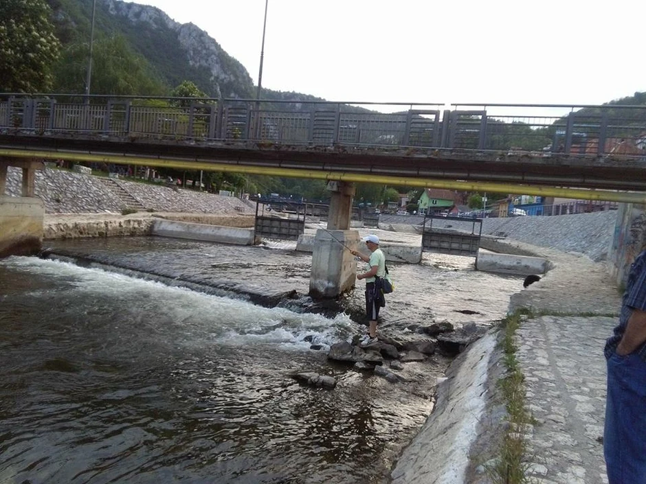 Đetinja: Užičani pecaju pastrmku i lipljena u centru grada
