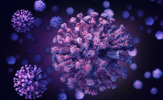 Pandemia mogła spowodować bezpośrednio lub pośrednio śmierć nawet ponad 16 mln osób