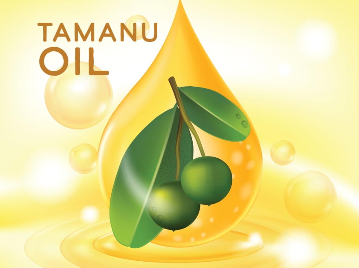 Olej tamanu