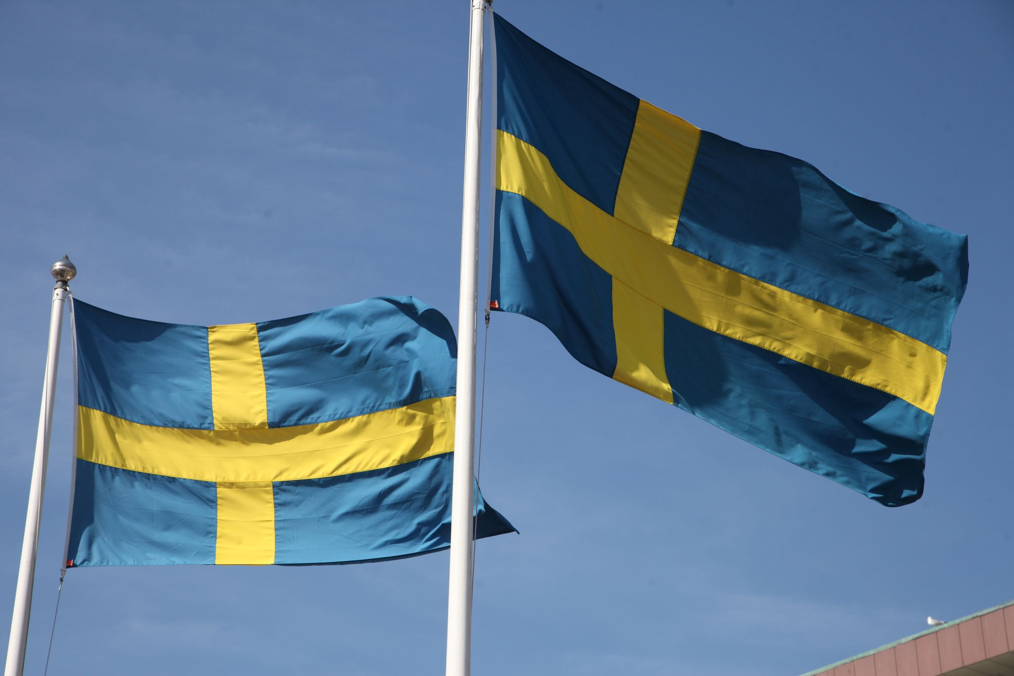 Bus rast in Bushaltestelle in Stockholm – mehrere Tote