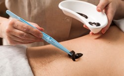 Pijawki pomogą w misjach kosmicznych? Badania polskich naukowców