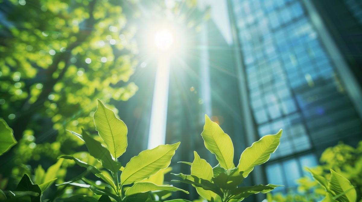 Pakiet Omnibus i przyszłość raportowania ESG. Decyzje w tym roku
