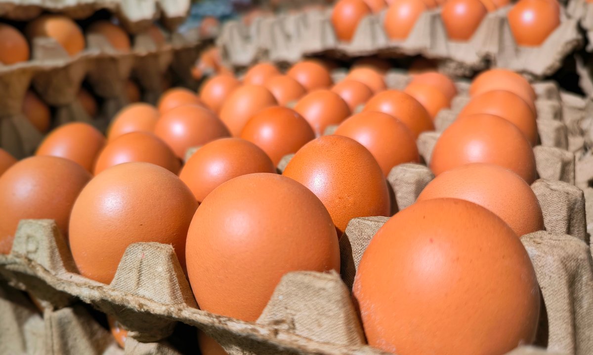 Czy trzeba myć jajka przed włożeniem do lodówki? Eksperci nie mają wątpliwości