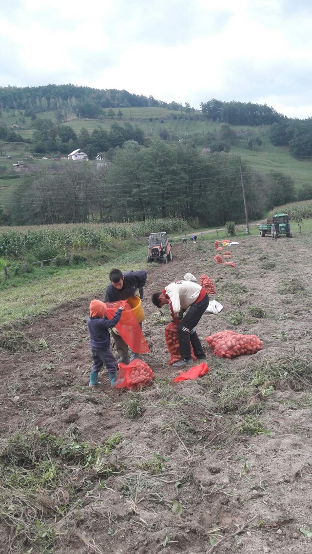 Na imanju svi rade, od najmlađeg do najstarijeg