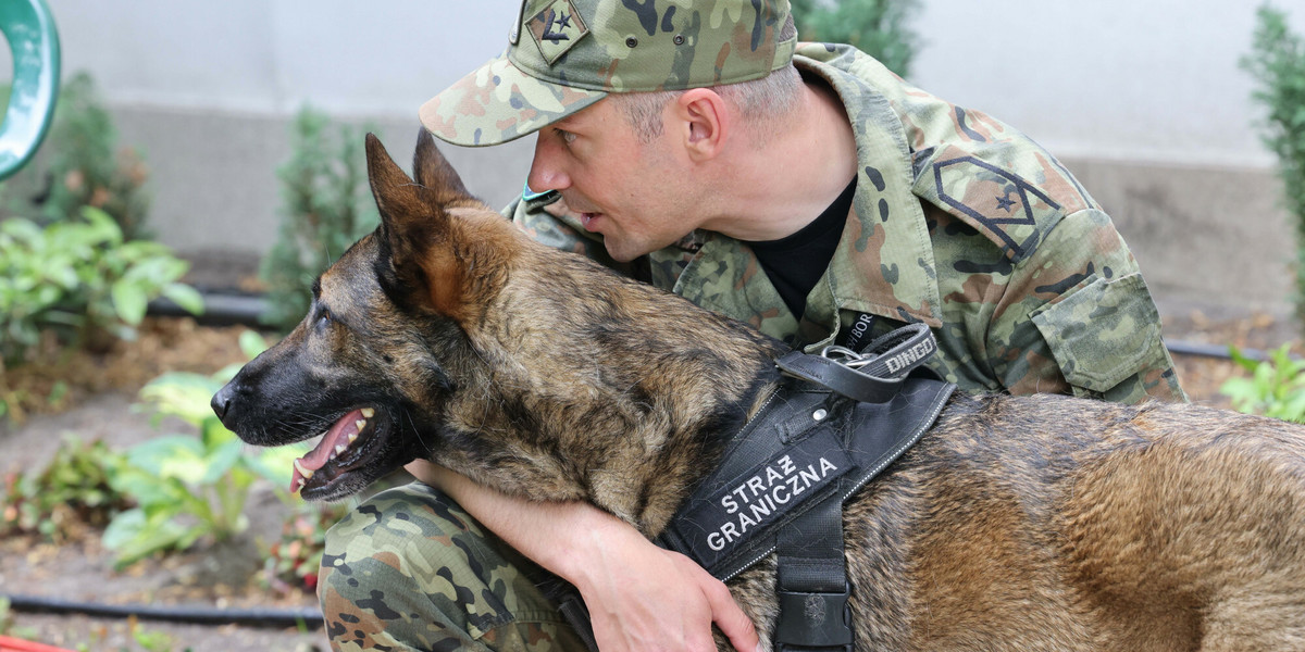 Psy pomagają funkcjonariuszom SG patrolować granice.