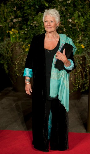 Judi Dench na gali BAFTA 2014