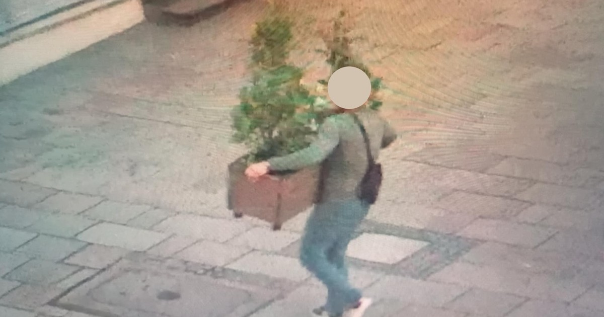 Tego jeszcze nie widzieli. "Koneser" na krakowskim rynku. "Może to jakiś nowy ruch społeczny"