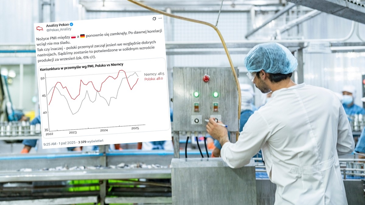 "Nożyce między Polską a Niemcami ponownie się zamknęły". Eksperci komentują nowe dane