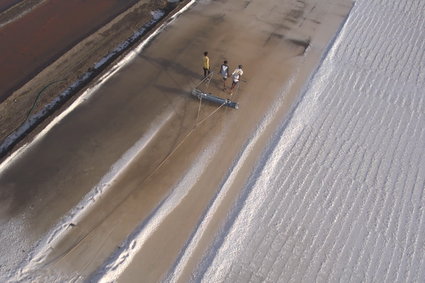 W ciężkich warunkach ręcznie zbierają sól. Dostają 4 dol. za tonę