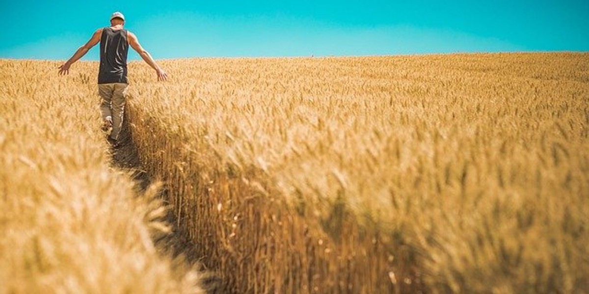 Wykorzystanie nowych zbóż przyciągnie uwagę konsumentów gotowych wydawać większe kwoty. W Polsce 53% konsumentów pieczywa uważa, że warto zapłacić więcej za wypieki z dawnych odmian zbóż