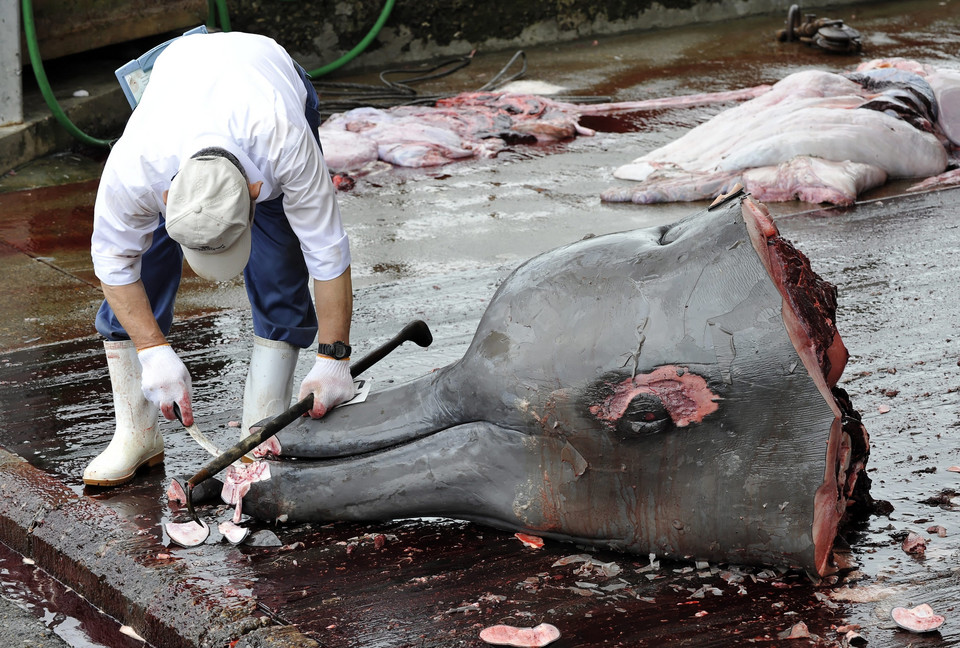JAPAN FEATURE PACKAGE WHALING