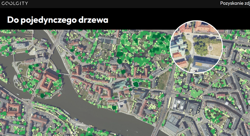 Ani jedno drzewo się przed zdjęciami nie ukryje