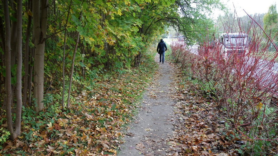 Os. Podleśna. Mieszkańcy proszą o przedłużenie chodnika do Wadąga. Co na to urzędnicy?