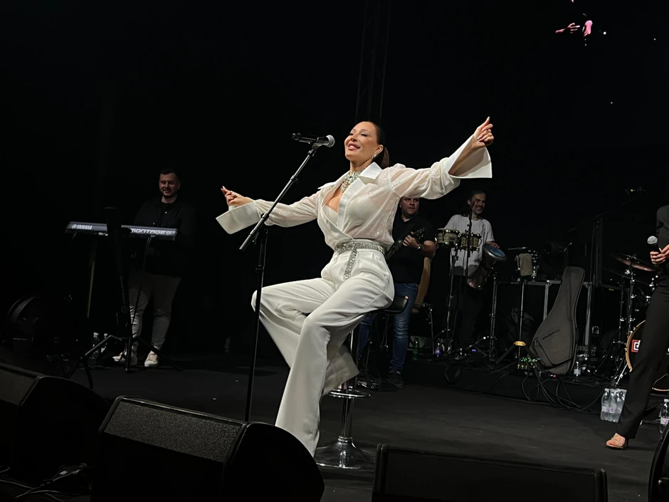 Ceca Ražnatović, koncert