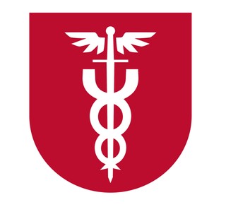 KAS chciał mieć herb. Komisja Heraldyczna MSWiA skrytykowała projekt