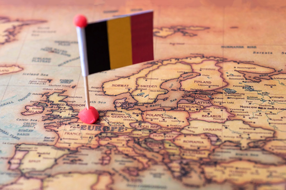 En Belgique, de plus en plus d’étrangers sont sacrifiés.  « La plupart des patients venaient de… »