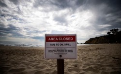 Wyciek ropy u wybrzeży Kalifornii. Trwa jej usuwanie z powierzchni wody i z plaż
