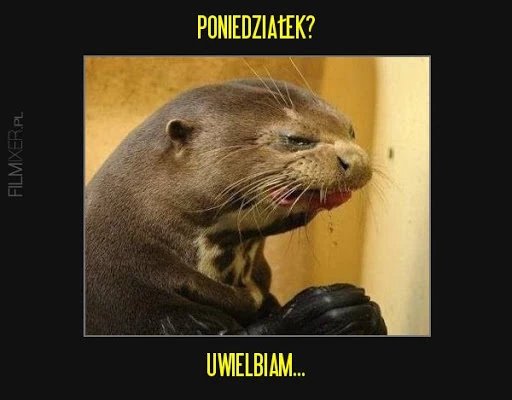 I znowu mamy poniedziałek. Te memy to śmiech przez łzy