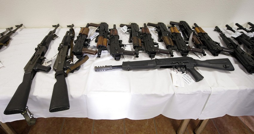 Radovanović: Čest je slučaj da neko prijavi jednu pušku ili pištolj, dobije dozvolu, a u stanu ima sakrivene još dve puške