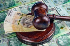 Skarga nadzwyczajna Rzecznika Finansowego w obronie frankowiczki