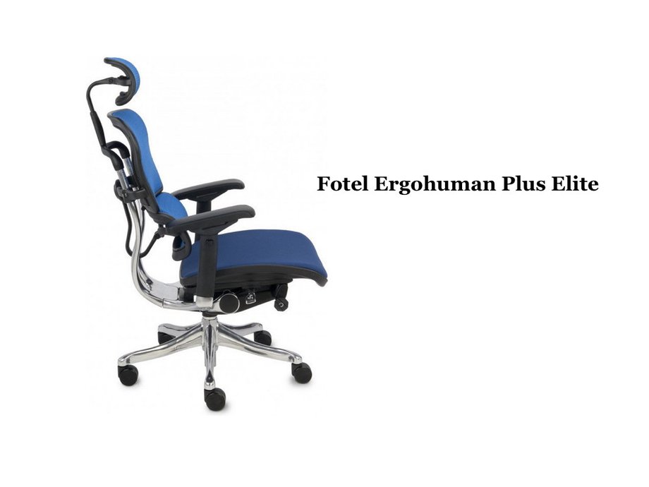 Fotel Ergohuman Plus Elite