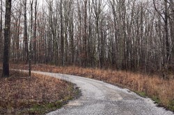 Leśnicy pokazali, co odkryli w lesie. Przykro się na to patrzy
