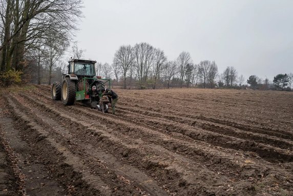 Wielkie zalesianie Łodzi. Powstanie 150 hektarów nowych lasów!