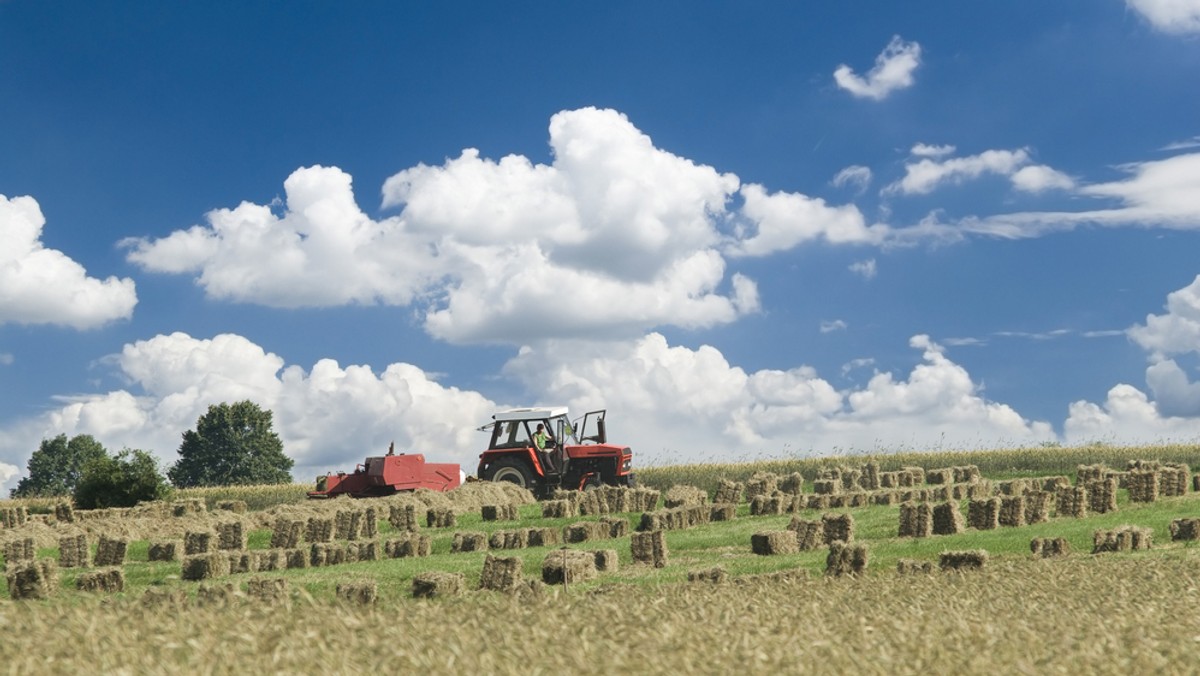 Szacowany przez GUS produkt krajowy brutto w województwach i tzw. podregionach dostarcza informacji na temat regionalnych zróżnicowań poziomu produkcji i rozwoju gospodarczego oaz jego zmian. PKB nie jest wskaźnikiem poziomu życia ani dobrobytu, jest jednak przybliżeniem zróżnicowania zamożności w przekrojach regionalnych.