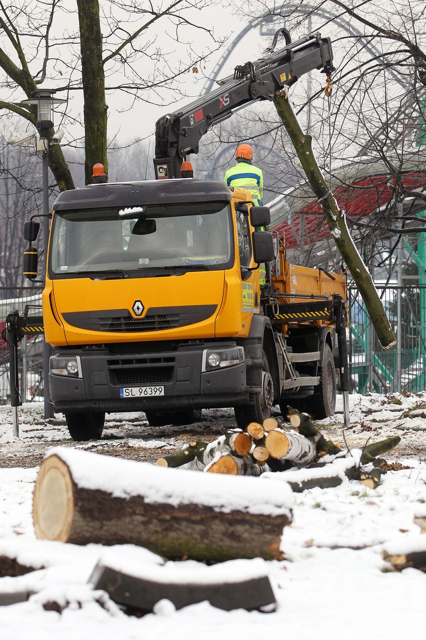 Katowice. Protest mieszkańców Dębu przeciwko wycince drzew