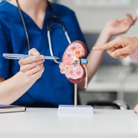 Innen tudhatja, hogy a cukorbetegség már a veséit is tönkretette