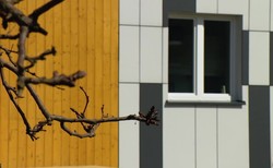 Najmniejszy niskoenergetyczny dom w Polsce - jak wygląda?