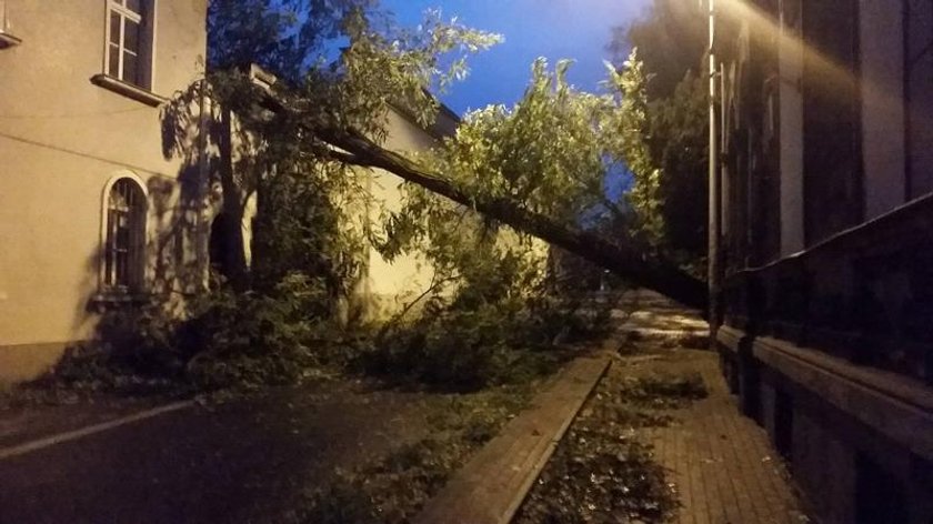 Oto, co zostawiły po sobie wichury. Skala zniszczeń jest ogromna