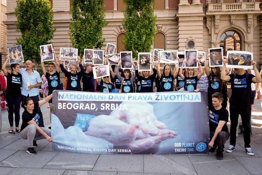 Akcija pokrenuta sa idejom da više govori o pravima životinja