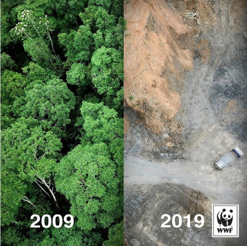 Tak śmieją się z 10 years challange