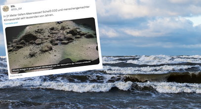 Tajemnicza konstrukcja na dnie Bałtyku. Ma ponad 10 tysięcy lat!