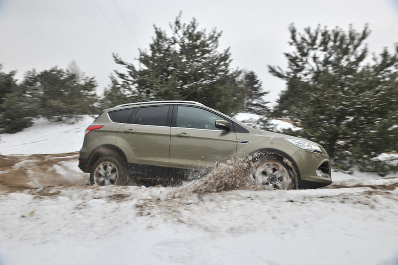 Toyota RAV4 kontra Ford Kuga i Subaru Forester: porównanie najnowszych SUV-ów na rynku