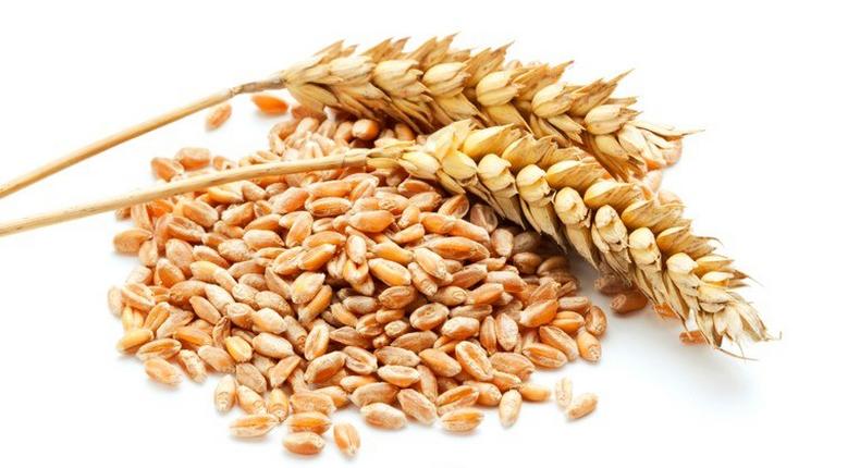 Grains