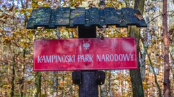 Podejrzany o podpalenie w Kampinoskim Parku Narodowym aresztowany na 3 miesiące