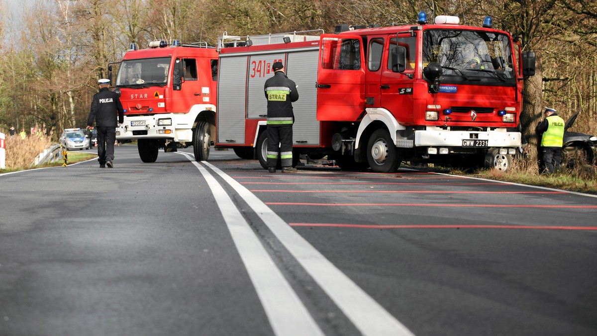 Policja przywróciła ruch na trasie krajowej nr 3 między miejscowościami Jasieniec i Bieleń. Droga była zablokowana po wypadku, a ruch odbywał się objazdem - poinformowała Dorota Dąbrowska z lubuskiej policji.