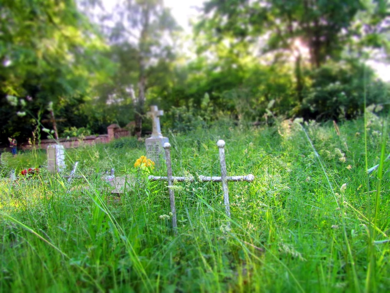Cmentarz w Rapocinie