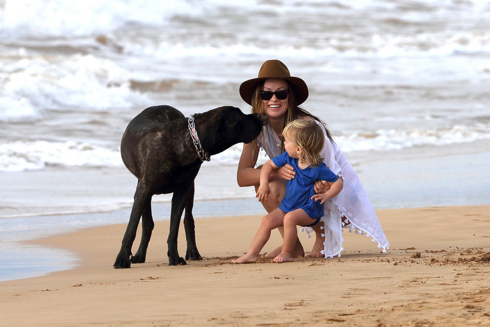 Olivia Wilde z rodziną na plaży