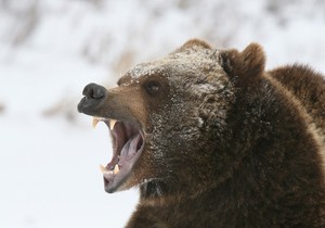 703030_20110408publicshutterstockdi002890601preview