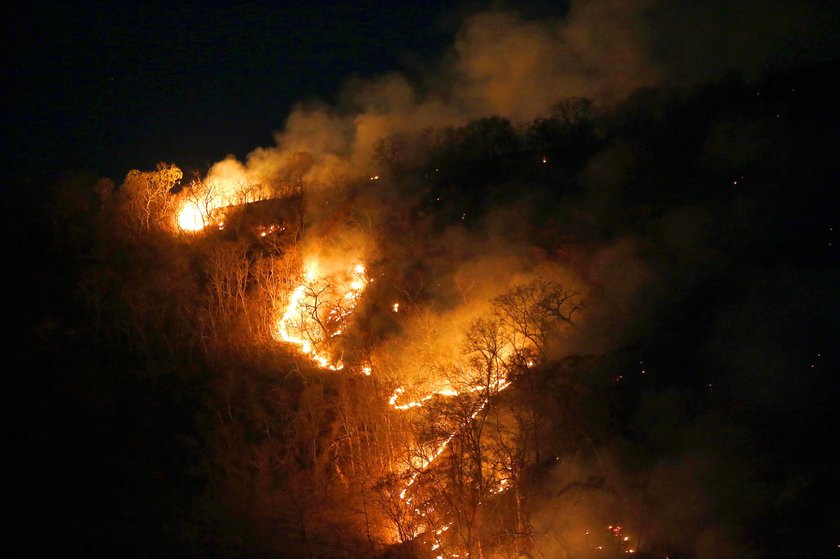 Pożar Amazonii. Płoną lasy deszczowe. Płuca świata zagrożone ogniem