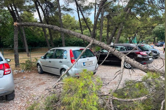 (FOTO, VIDEO) JAK VETAR ČUPAO DRVEĆE, PRESTONICA OSTALA BEZ STRUJE! Snažna oluja pogodila Crnu Goru: Tukao jak grad, ulice potopljene