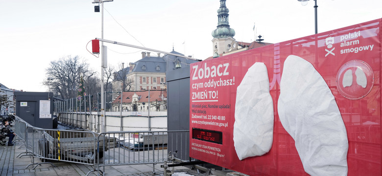 Polski Alarm Smogowy apeluje do premiera. "Tempo realizacji rządowych działań jest zbyt powolne"